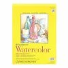 Sketch Books Strathmore 300 Series Watercolor Paper 11 In. X 15 In. Pad Of 12 Tape Bound [Pack Of 2] (2PK-360-111-1) -Bankers Box shop m004504355 s7