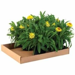 Quill Brand Shipping Boxes 15" X 12" X 1.75" Corrugated Trays, 32 ECT, Brown, 50/Bundle (15122CT)