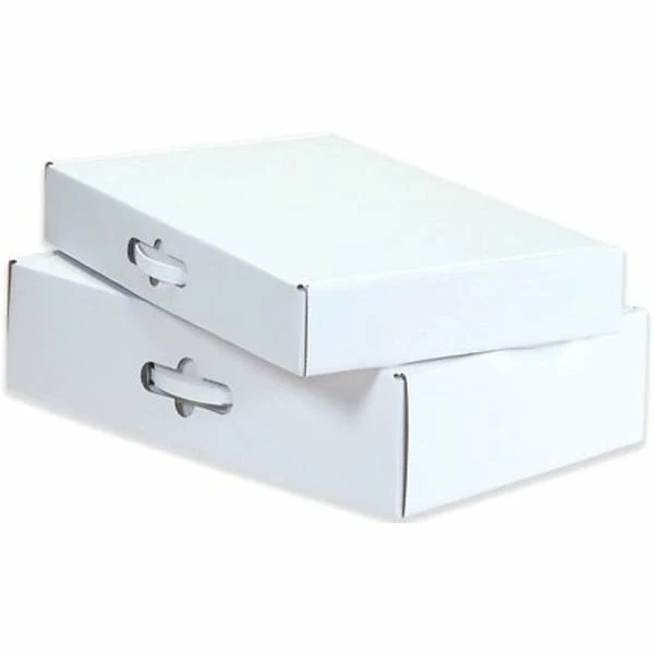 Quill Brand White Mailers Corrugated Carrying Cases, 12 1/8" X 9 1/4" X 3", White, 10/Bundle (MCC1) 3 Quill Brand White Mailers Corrugated Carrying Cases, 12 1/8" X 9 1/4" X 3", White, 10/Bundle (MCC1)